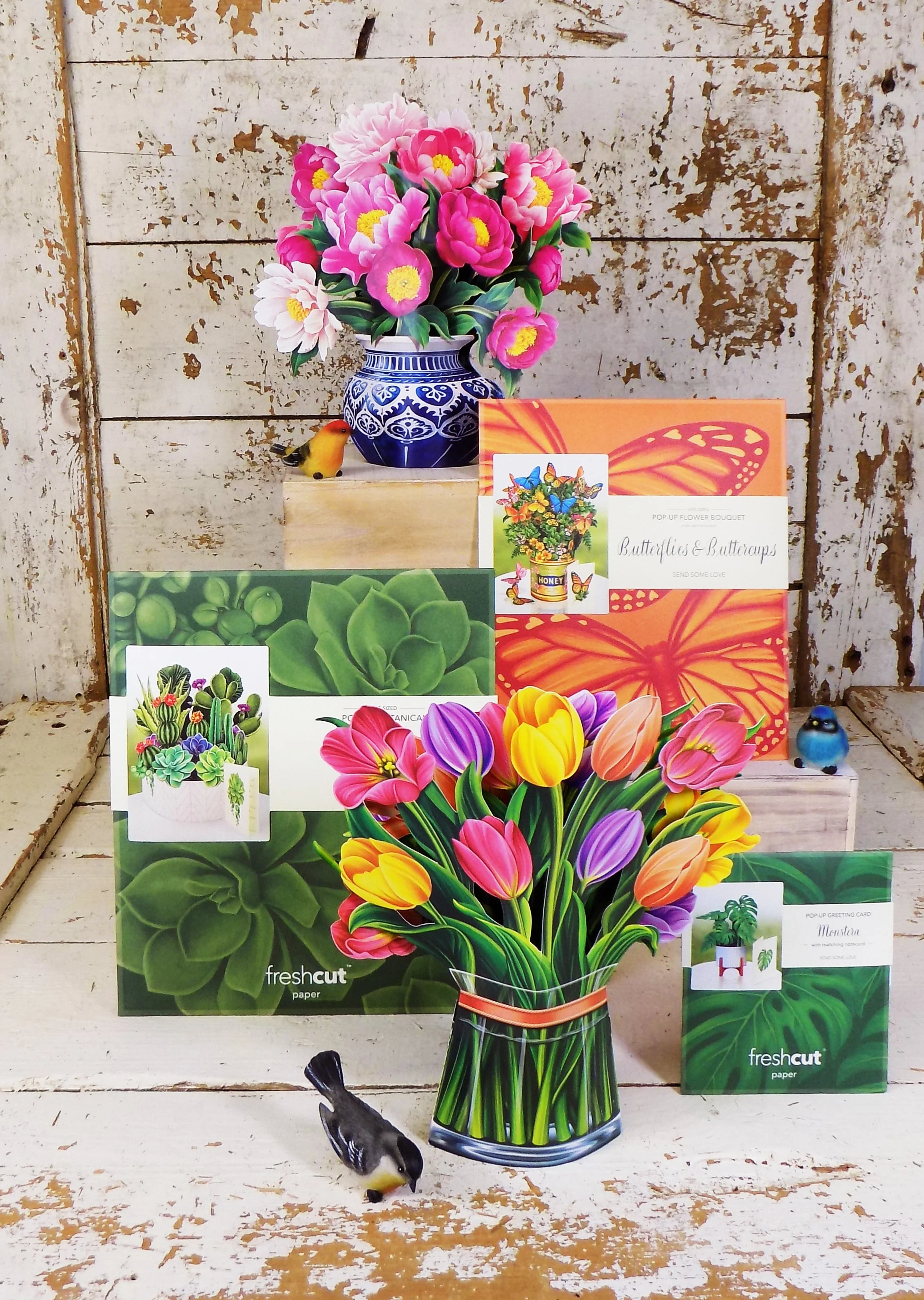 Greeting Cards — Ivy Trails Gift & Garden